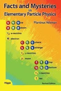 Facts and Mysteries in Elementary Particle Physics di Martinus Veltman edito da WSPC