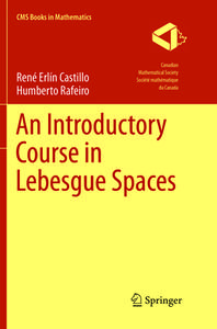 An Introductory Course In Lebesgue Spaces di Rene Erlin Castillo, Humberto Rafeiro edito da Springer International Publishing Ag