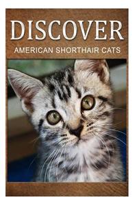 American Shorthair Cats - Discover: Early Reader's Wildlife Photography Book di Discover Press edito da Createspace