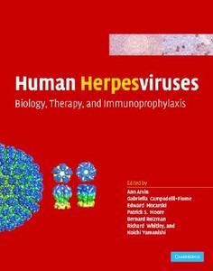 Human Herpesviruses di Ann Arvin edito da Cambridge University Press
