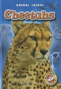 Cheetahs di Megan Borgert-Spaniol edito da BELLWETHER MEDIA