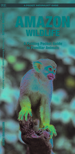 Amazon Wildlife: A Waterproof Pocket Guide to Familiar Species di James Kavanagh, J. M. Kavanagh edito da Waterford Press