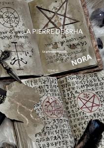 La pierre de Srha di Nora Nash edito da Books on Demand