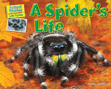 A Spider's Life di Ellen Lawrence edito da BEARPORT PUB CO INC
