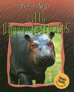 Little Hippopotamuses di Colette Barbe-Julien edito da Gareth Stevens Publishing