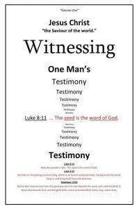 Witnessing One Man's Testimony di Michael Steven Kenworthey edito da XULON PR