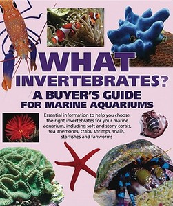 What Invertebrates?: A Buyer's Guide for Marine Aquariums di Tristan Lougher edito da Barron's Educational Series