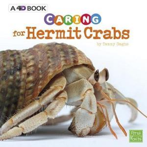 Caring for Hermit Crabs: A 4D Book di Tammy Gagne edito da PEBBLE BOOKS
