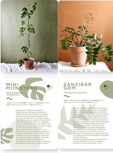 Leaf Supply Deck Of Plants di Lauren Camilleri, Sophia Kaplan edito da Smith Street Books