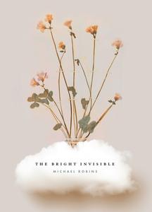 The Bright Invisible di Michael Robins edito da SATURNALIA BOOKS
