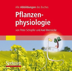 Alle Grafiken Des Lehrbuchs Pflanzenphysiologie di Peter Schopfer, Axel Brennicke edito da Spektrum Akademischer Verlag
