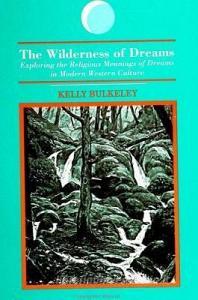 The Wilderness of Dreams di Kelly Bulkeley edito da STATE UNIV OF NEW YORK PR