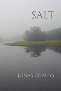 Salt di Jonas Zdanys edito da VISUAL ARTIST COLLECTIVE