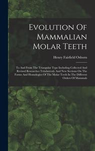 Evolution Of Mammalian Molar Teeth: To And From The Triangular Type Including Collected And Revised Researches Trituberculy And New Sections On The Fo di Henry Fairfield Osborn edito da LEGARE STREET PR