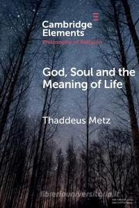 God, Soul and the Meaning of Life di Thaddeus Metz edito da Cambridge University Press