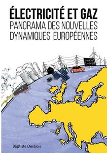 Électricité et gaz : panorama des nouvelles dynamiques européennes di Baptiste Desbois edito da Books on Demand