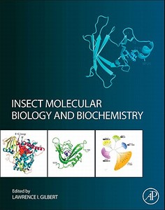 Insect Molecular Biology and Biochemistry di Lawrence Gilbert edito da ACADEMIC PR INC