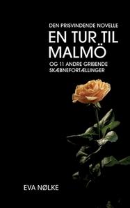 En tur til Malmö di Eva Nølke edito da Books on Demand