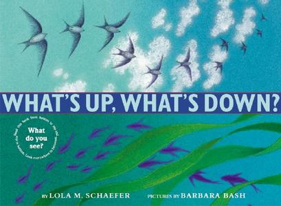 What's Up, What's Down? di Lola M. Schaefer edito da GREENWILLOW