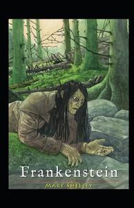 Frankenstein Illustrated Edition di Mary Shelley edito da Independently Published