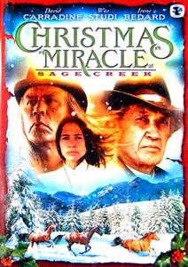 Christmas Miracle at Sage Creek edito da Screen Media