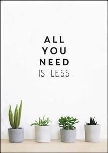 All You Need is Less di Vicki Vrint edito da Summersdale Publishers
