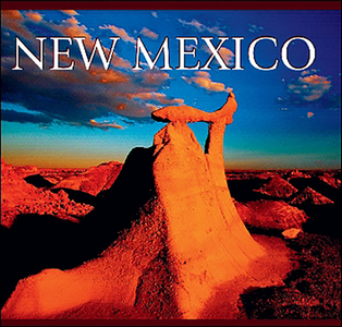 New Mexico di Tanya Lloyd Kyi edito da WHITECAP AMER
