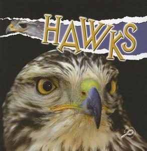 Hawks di Julie K. Lundgren edito da Rourke Publishing (FL)