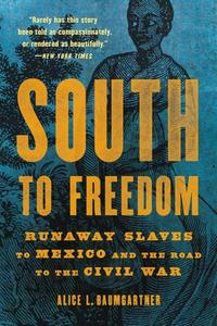 South To Freedom di Alice L. Baumgartner edito da Basic Books