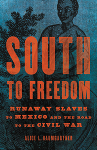 South To Freedom di Alice L. Baumgartner edito da Ingram Publisher Services Us