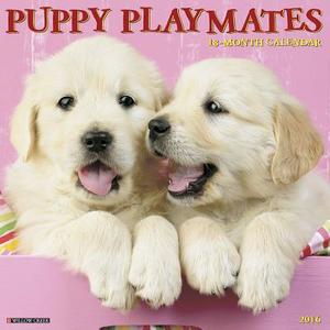 Puppy Playmates Calendar edito da Willow Creek Press