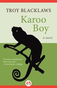 Karoo Boy di Troy Blacklaws edito da OPEN ROAD MEDIA
