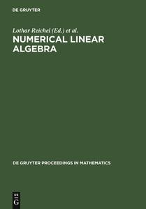 Numerical Linear Algebra edito da De Gruyter