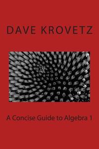 A Concise Guide to Algebra 1 di Dave Krovetz edito da Createspace