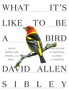 What It's Like to Be a Bird di David Allen Sibley edito da Random House LCC US