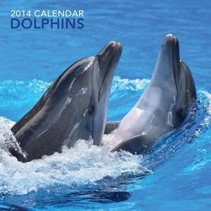 2014 Calendar: Dolphins: 12-Month Calendar Featuring Fabulous Photographs of Dolphins di Peony Press edito da Peony Press