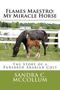 Flames Maestro: My Miracle Horse: The Story of a Purebred Arabian Colt di MS Sandra C. McCollum edito da Createspace