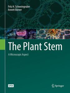 The Plant Stem di Fritz H. Schweingruber, Annett Boerner edito da Springer Nature Switzerland Ag