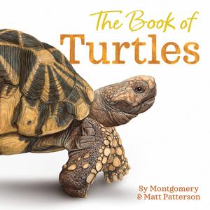 The Book of Turtles di Sy Montgomery edito da CLARION BOOKS
