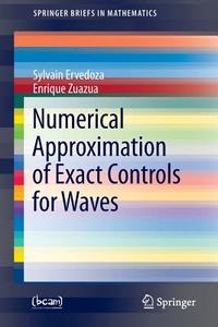 Numerical Approximation of Exact Controls for Waves di Sylvain Ervedoza, Enrique Zuazua edito da Springer New York