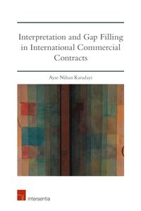 Interpretation and Gap Filling in International Commercial Contracts di Ayse Nihan Karadayi Yalim edito da INTERSENTIA