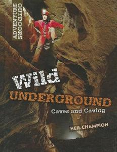 Wild Underground: Caves and Caving di Neil Champion edito da SMART APPLE MEDIA