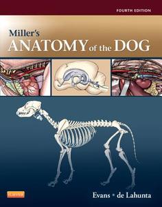 Miller's Anatomy Of The Dog di Howard Evans edito da Elsevier Health Sciences