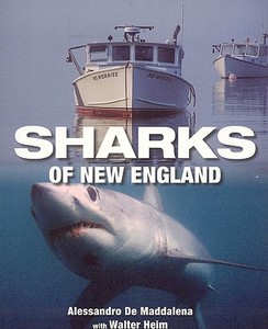 Sharks of New England di Alessandrao De Maddalena edito da Rowman & Littlefield