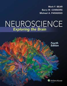 Neuroscience: Exploring the Brain di Mark F. Bear, Barry W. Connors, Michael A. Paradiso edito da WOLTERS KLUWER HEALTH