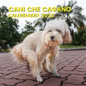 Cani Che Cagano Calendario 2022 - Romerez Lambardo Lambardo - Independently  Published - Libro in lingua lingua straniera