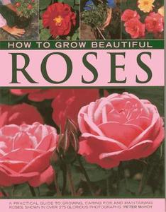 How To Grow Beautiful Roses di Peter McHoy edito da Anness Publishing