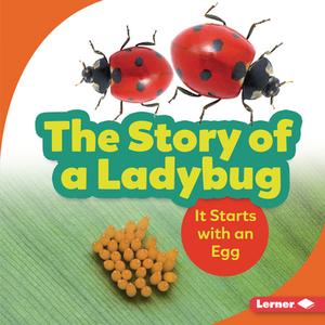 The Story of a Ladybug: It Starts with an Egg di Lisa Owings edito da LERNER PUBN