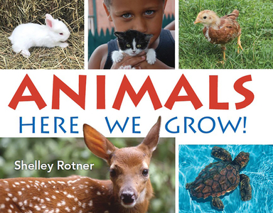Animals!: Here We Grow di Shelley Rotner edito da HOLIDAY HOUSE INC