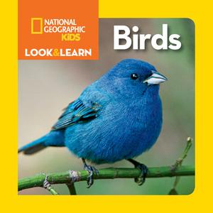 Look And Learn: Birds di National Geographic Kids edito da National Geographic Kids